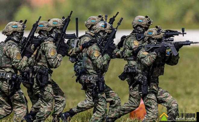 战意弓箭乡勇兵团行为全揭秘,精准射击与战术智慧并存